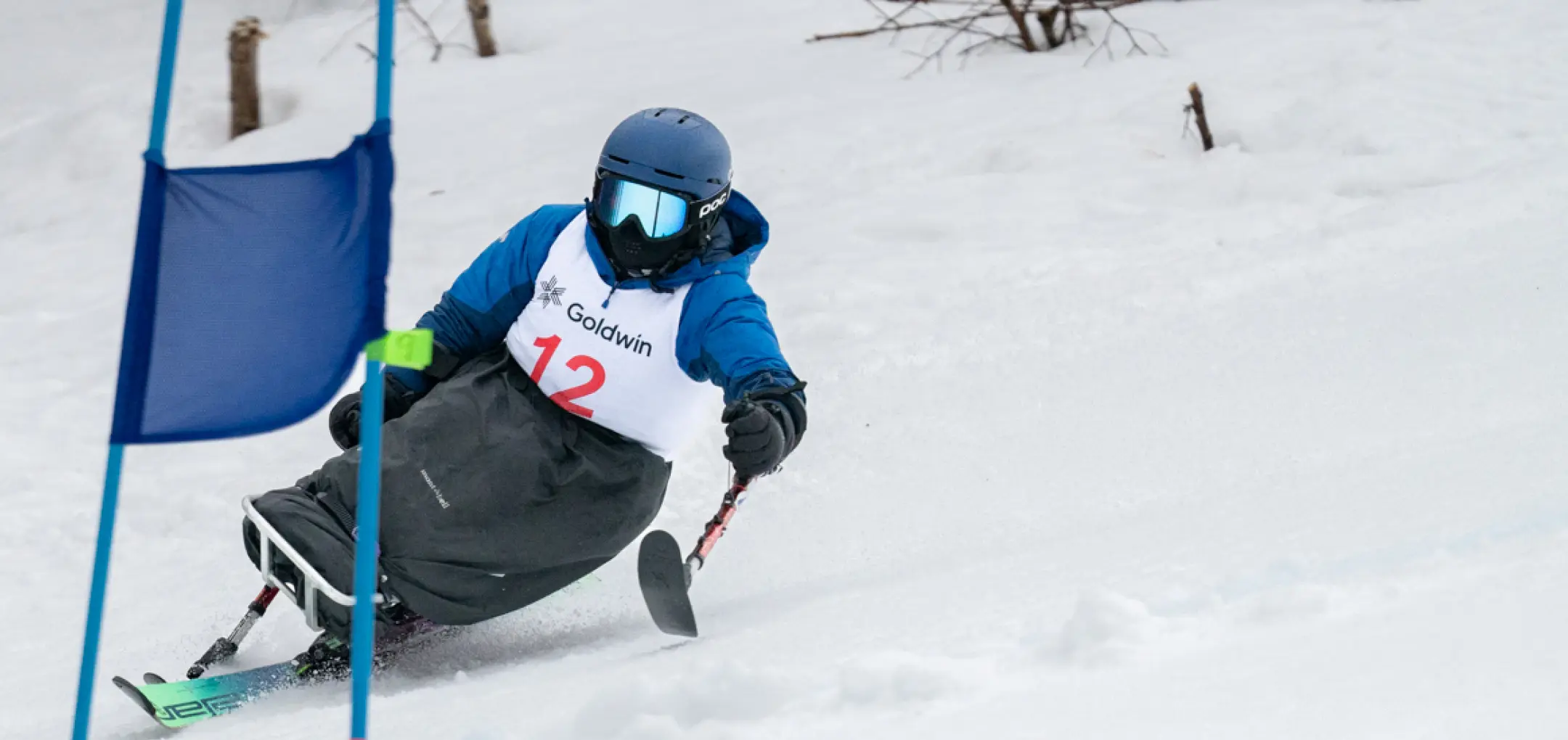 パラアルペンスキー